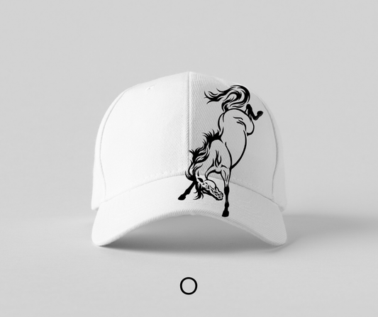 Bronco